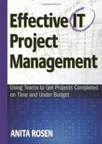 Effective It Project Management